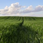 Lightning-as-a-service for agriculture