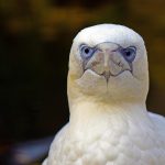 Tell us what you really, really… do not want to spend time working on